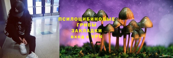 метадон Болотное