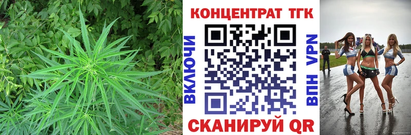 цены   Котовск  ТГК THC oil 
