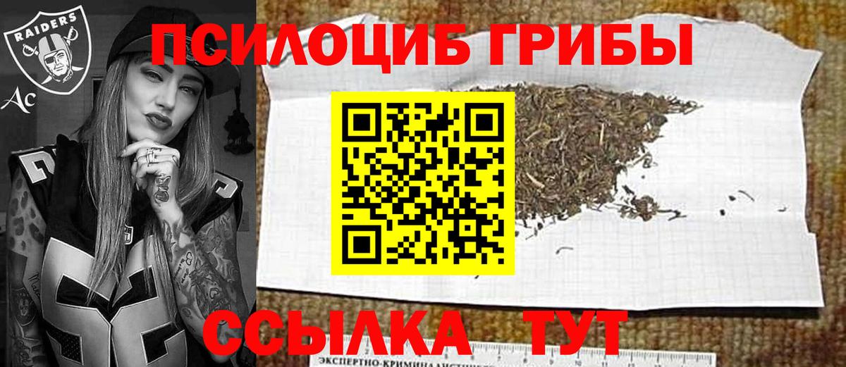 Псилоцибиновые грибы мухоморы  Вход с VPN  Котовск 