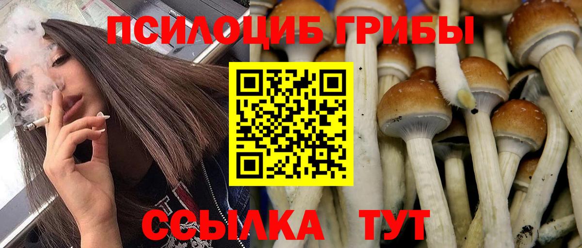 Галлюциногенные грибы MAGIC MUSHROOMS Котовск