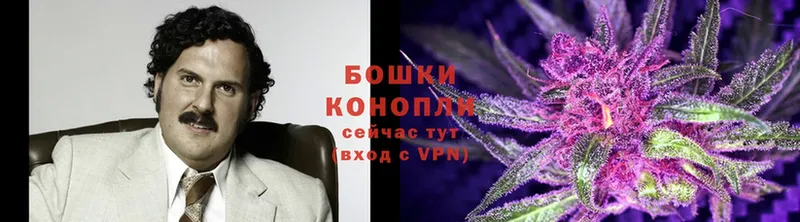 Бошки марихуана OG Kush  Котовск 