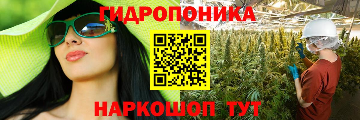 Марихуана планчик  Каннабис THC 21%  МАРИХУАНА LSD WEED  Вход с VPN  Котовск  Бошки марихуана семена 